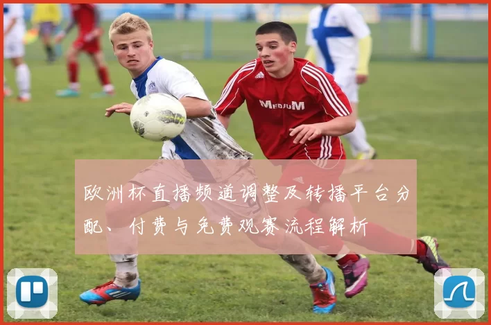 欧洲杯直播频道调整及转播平台分配、付费与免费观赛流程解析