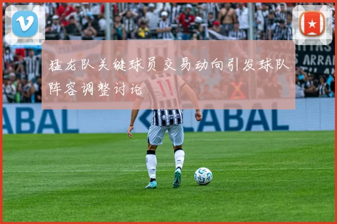 猛龙队关键球员交易动向引发球队阵容调整讨论